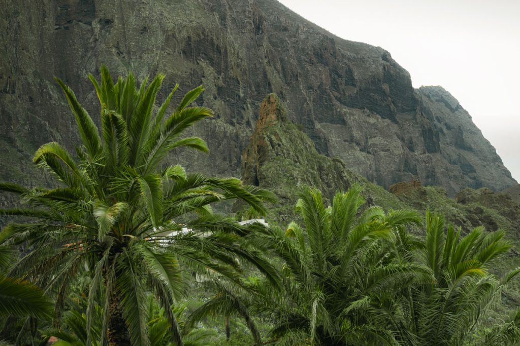 masca città di tenerife