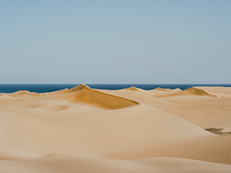 dune di mas palomas