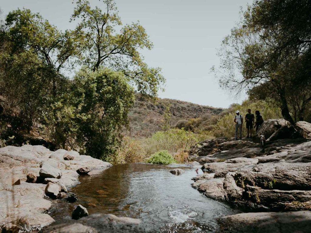 barranco de los cernicalos gran canaria