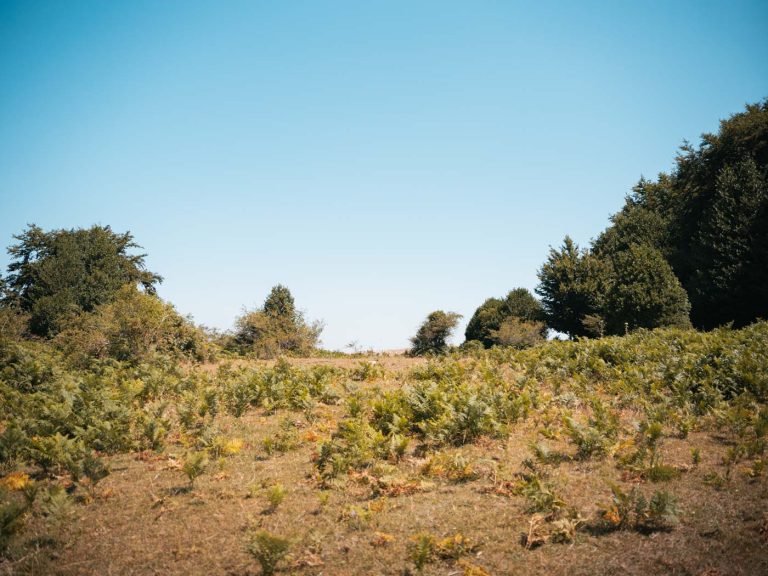 parco taburno camposauro