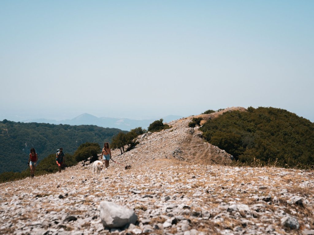 parco taburno camposauro