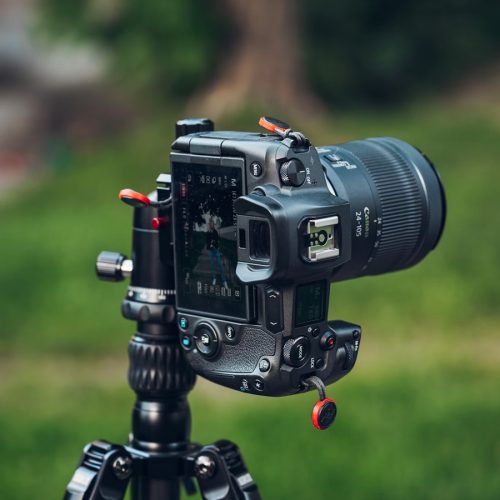 photo